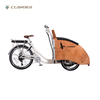 UB9043E Electric Cargo Bike Used for Carrying Old People
