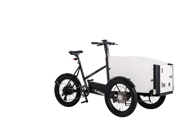 TUMBLER CLAMBER Brand 250W Electric Cargo bike Scooter 3 Wheel Cargo 