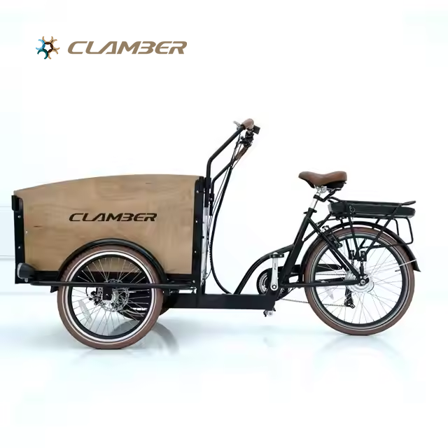 UB9031E-250W Electric Trike 6-Speed 3-Wheel Cargo Bike 