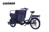 UB9046E-A 9 Speeds Electric Cargo Bike Used for Carrying Old People