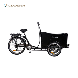 9019E-6S three wheel electric cargo bike