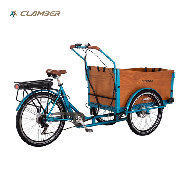 UB9032E-6S Family Electric Cargo Bike