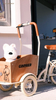 UB9035L Colorful Pedal cargo bike for kids